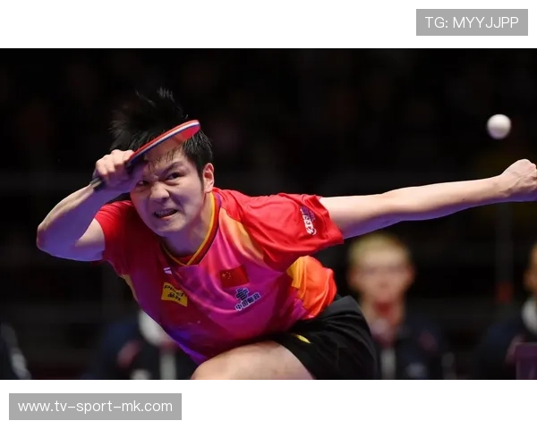 曾被质疑打法单一，如今成为节奏大师！樊振东太稳了，樊振东表演赛