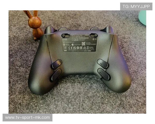 电竞游戏手柄与键鼠操作公平性争议，手柄和键鼠哪个玩游戏好