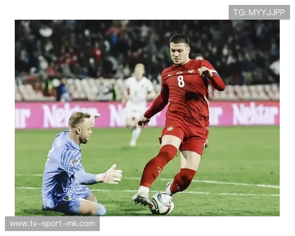 英格兰再度晋级，板球世界杯形势明朗，英格兰板甲